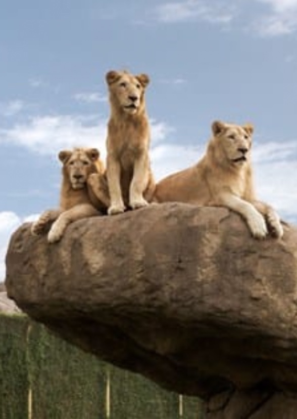 Blake's Safari Park