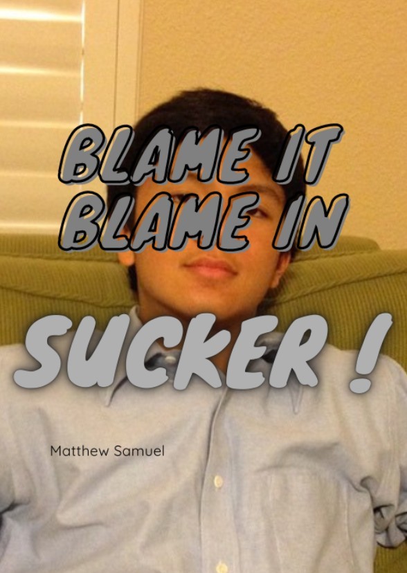 BLAME IT, BLAME IN, SUCKER !