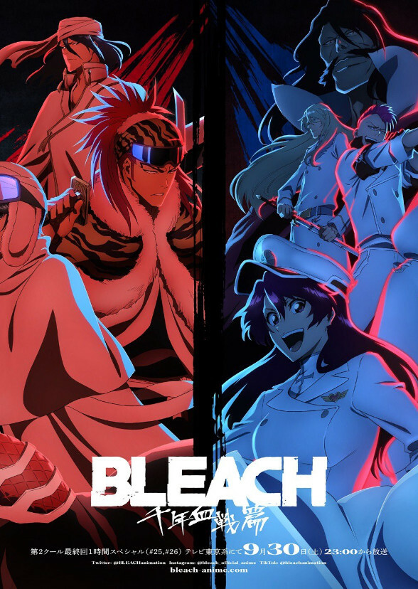 Bleach