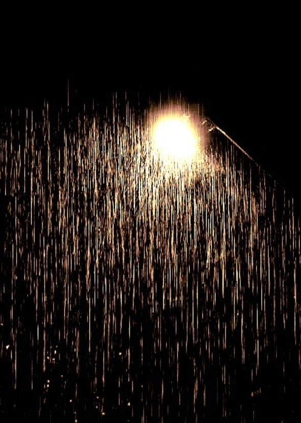 Blood in the rain