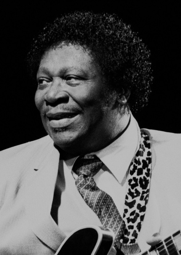 Blues: The B.B. King Story