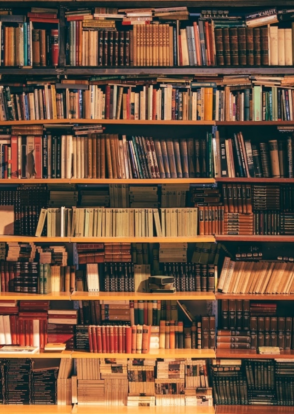 Books that get a movie adaptation