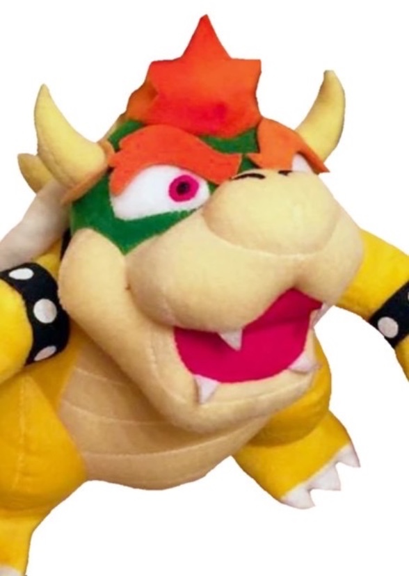 Bowser’s Love And hates
