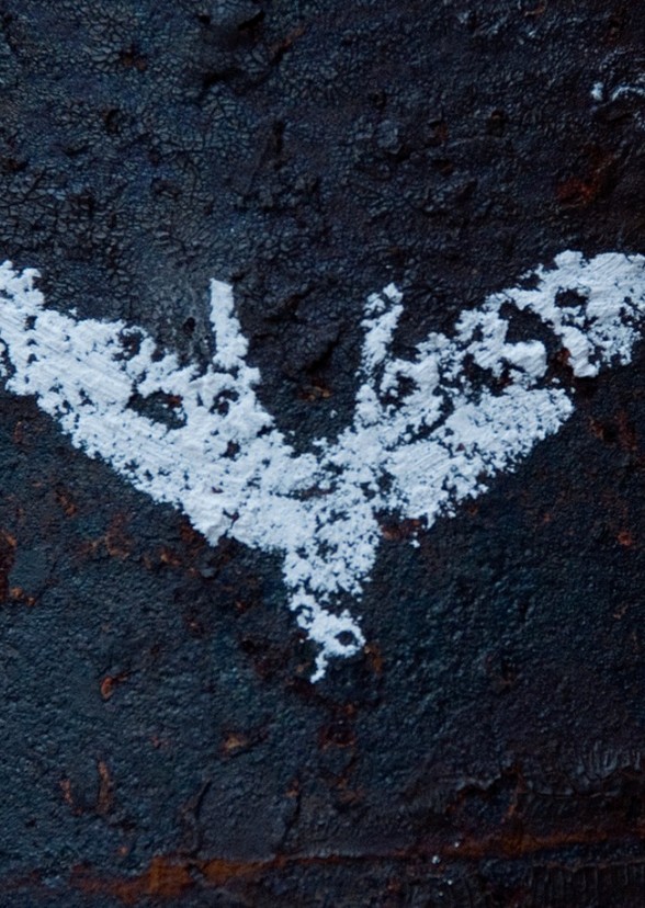 Boy Wonder: Nightwing (2017)