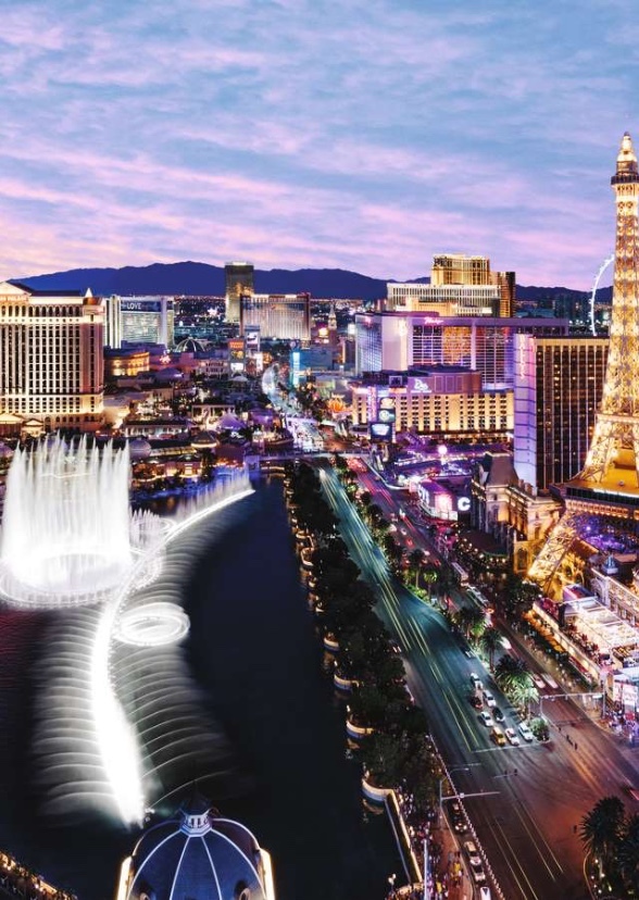 Boys in Vegas 