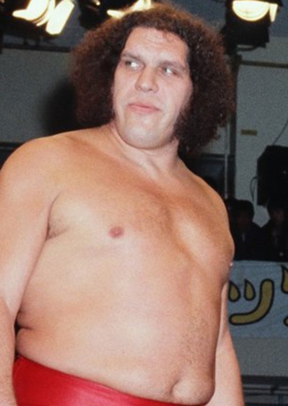 Andre (1984)