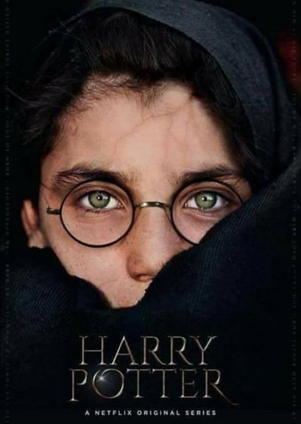 Bryan Seeker's Harry Potter Series