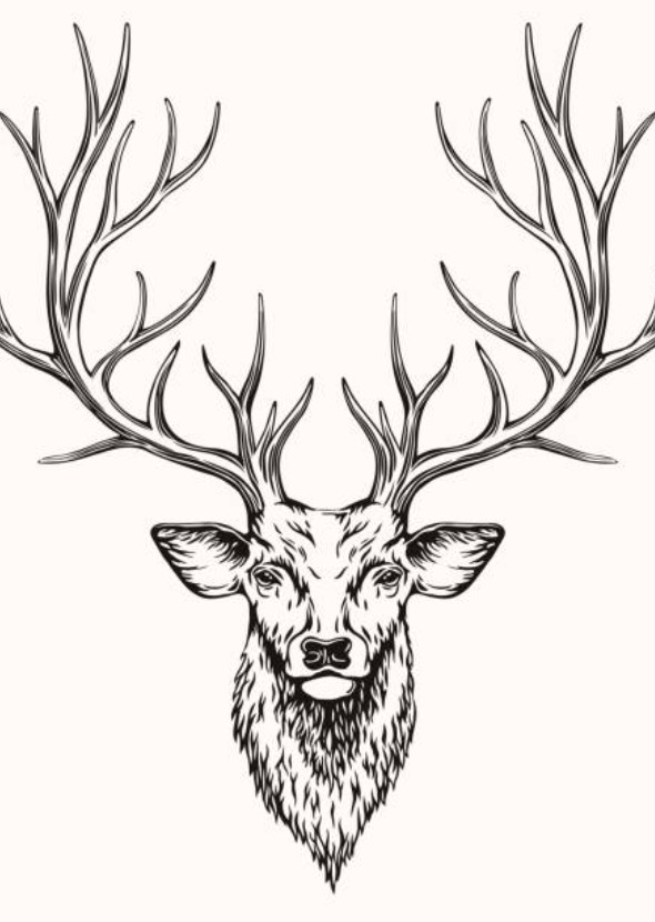 Buck shot!