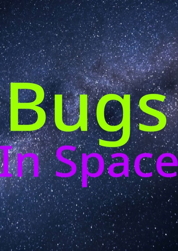 Bugs In Space