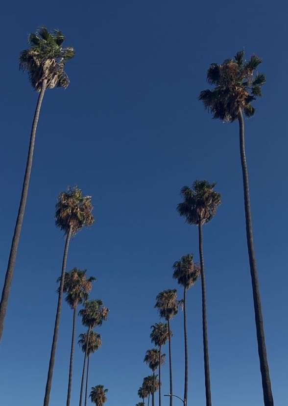 California High