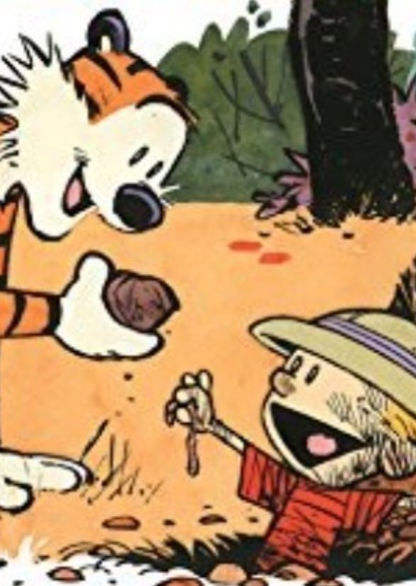 Calvin and Hobbes: There's Treasure Everywhere