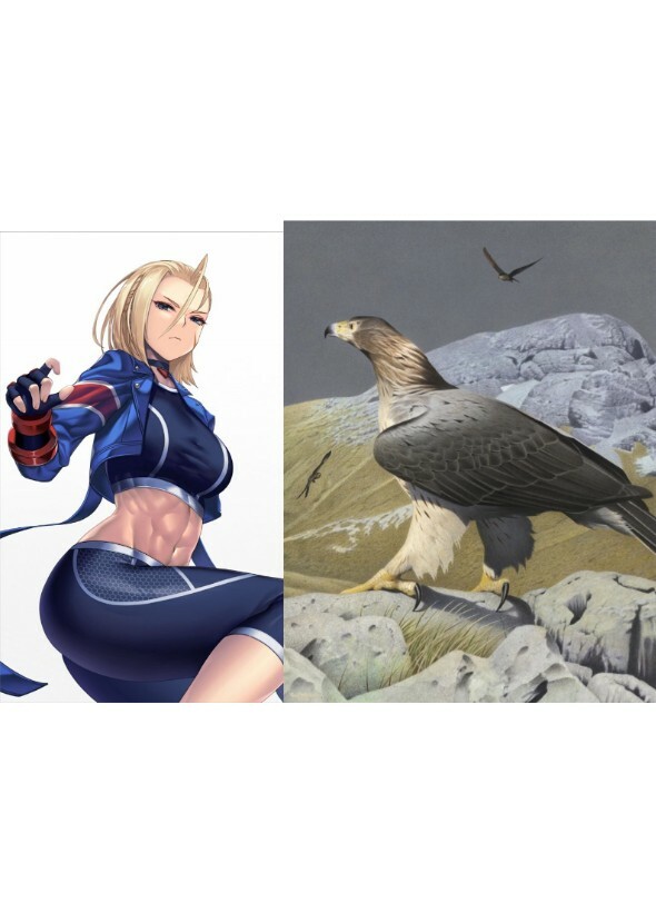 Cammy tames the Woodward's eagle