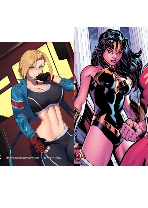 Cammy the Super Squadron Woman