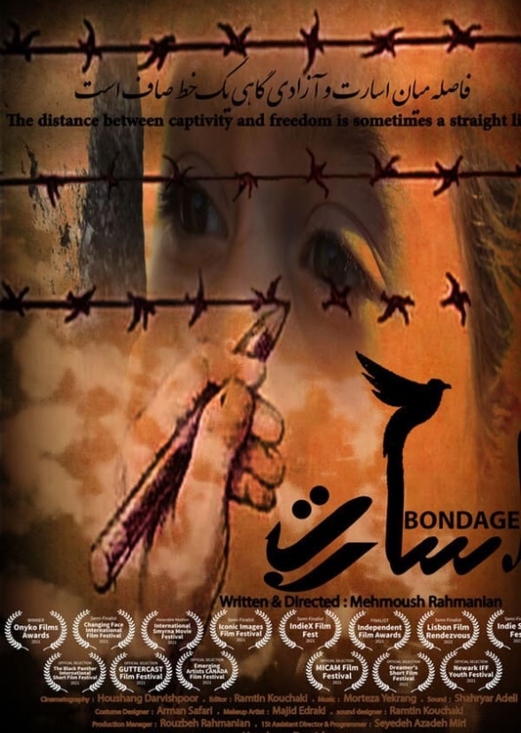 Captivity (3060)