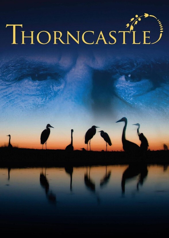 Castle of Thorns