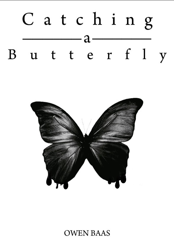 Catching A Butterfly