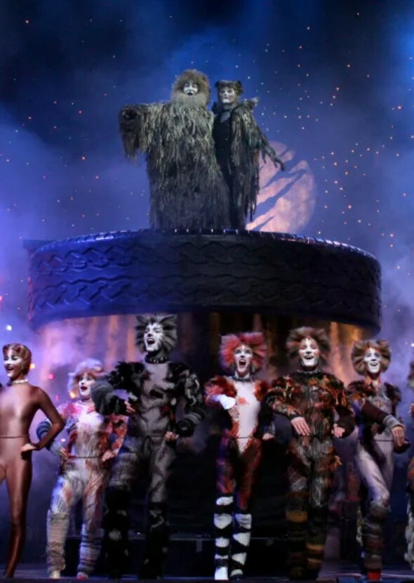Cats; the Musical Movie