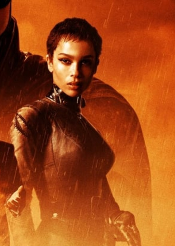 Catwoman (2025)