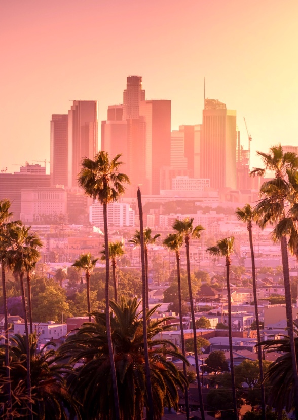 Cemetery Rats Fan Casting on myCast