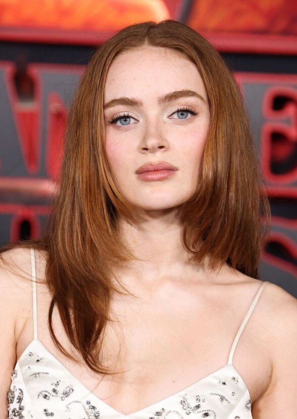 Characters Sadie sink Should Have Played Live action