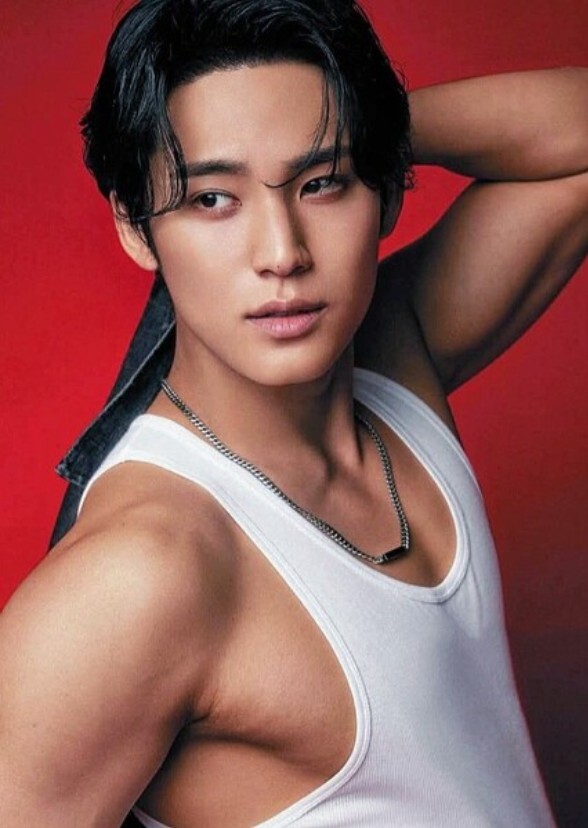 Characters that Mingyu should play