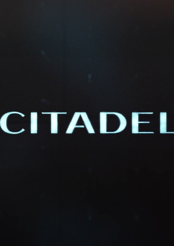 Citadel Directive (November 3 2017)