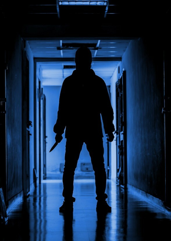 Citizen Soldiers