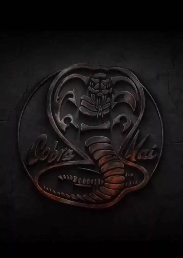Cobra Kai (8)