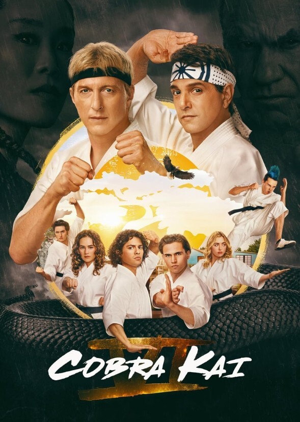 Cobra Kai after 20 years 