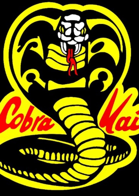 Cobra kai 