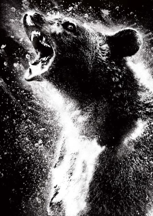 Cocaine Bear (2003)