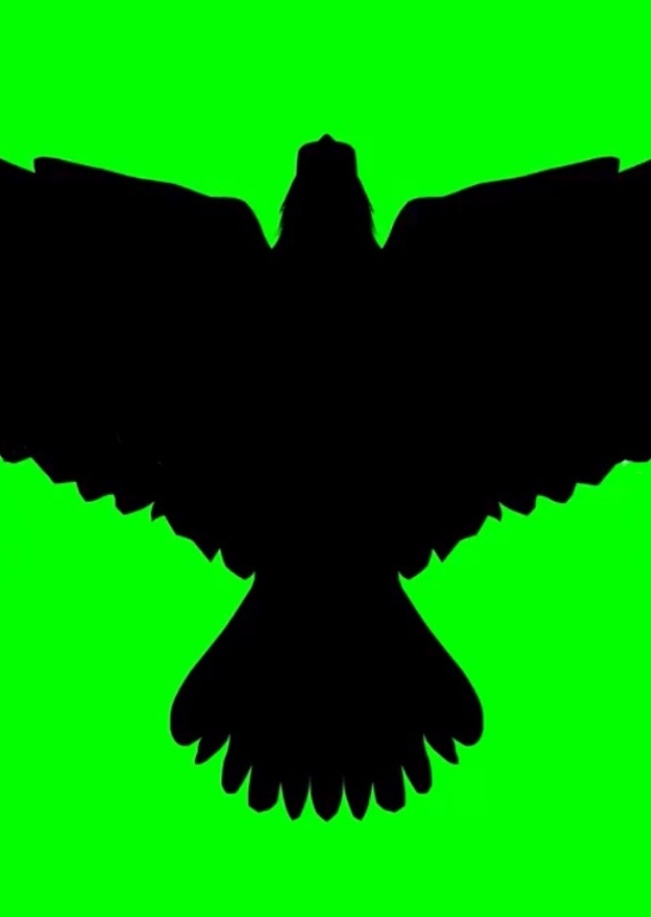 Crow Toon Productions Inc. the series