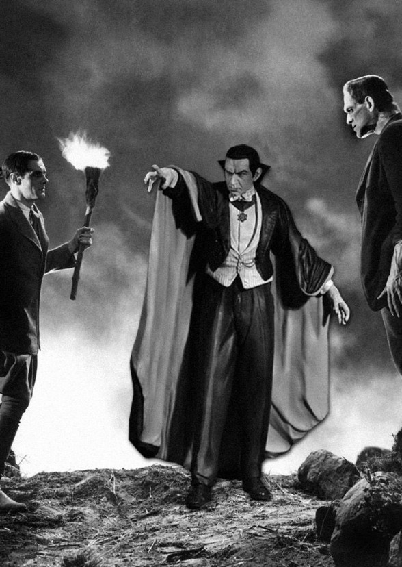 Dark Universe