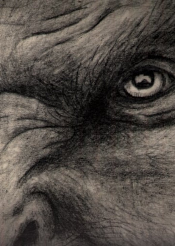 Dark Worlds: A Wolf Howls at Midnight