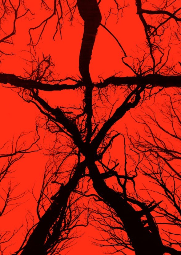 Dark Worlds: Do You See the Fire Burning?