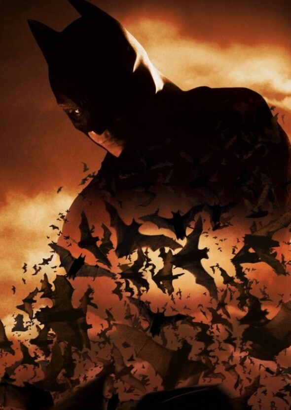 DCCU Batman (2008)