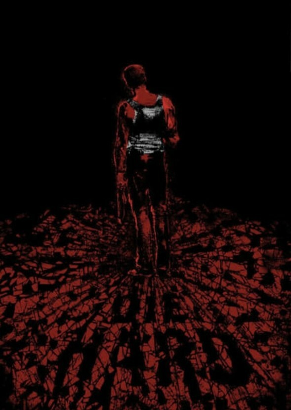 Die Hard I-III (2008-2015)