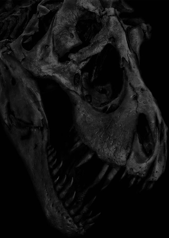 Dino Weapon