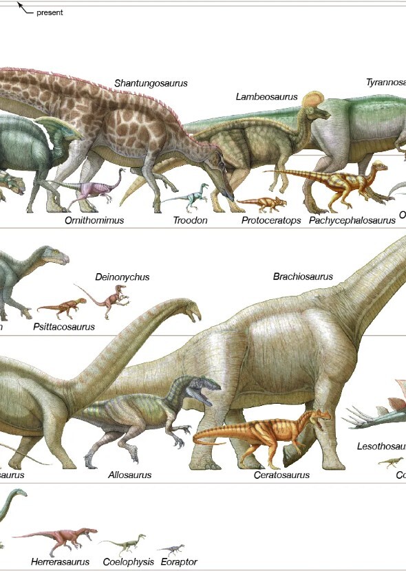 Dinosaurs