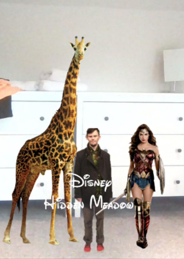 Disney's Hidden Meadow