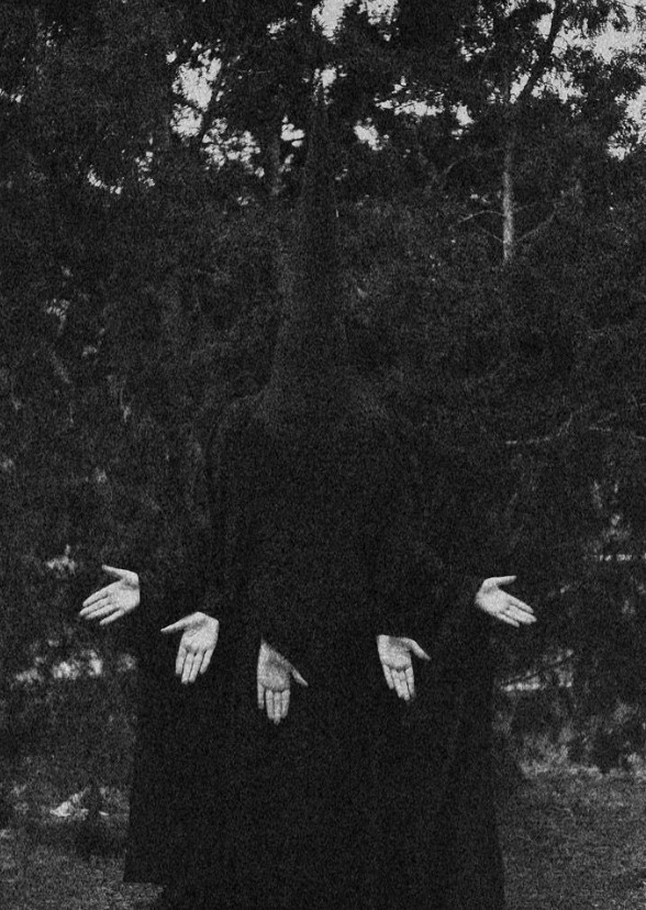 Don't Fear The Reaper