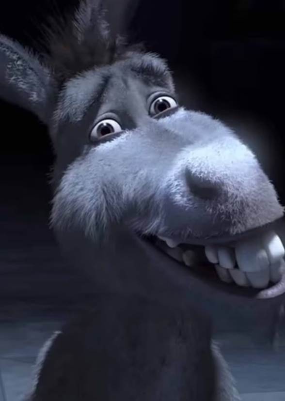 DONKEY