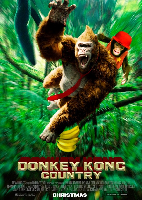 Donkey Kong Country