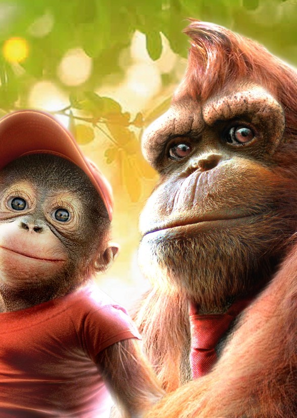 Donkey Kong Live Action Series