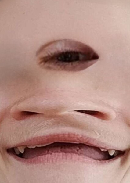DOPIEMAN Fan Casting Poster