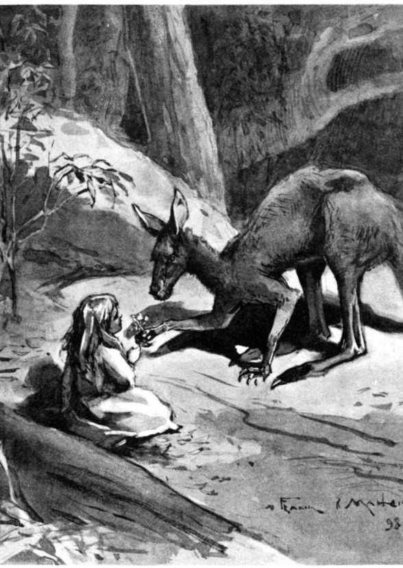 Dot and the Kangaroo
