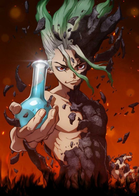 Dr. Stone