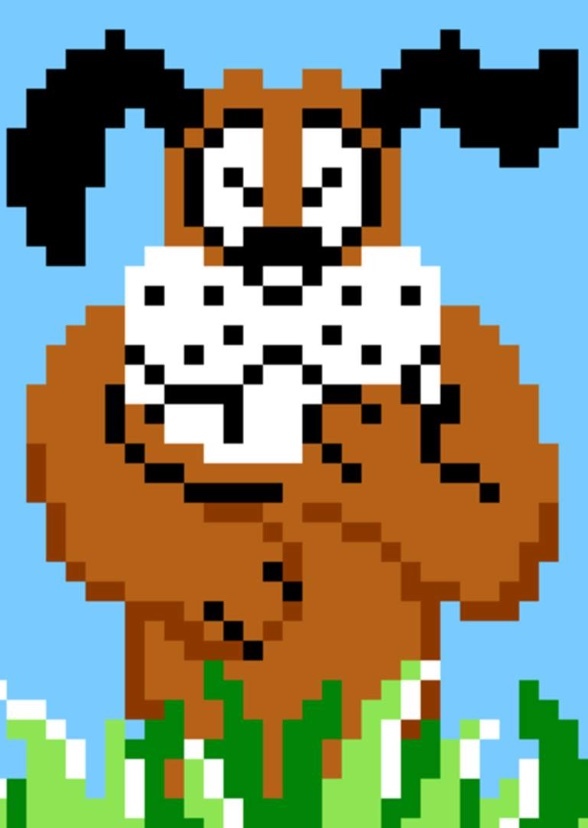 Duck Hunt (NCU)