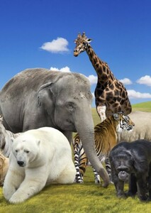 Earth Day: Animals Fan Casting on myCast