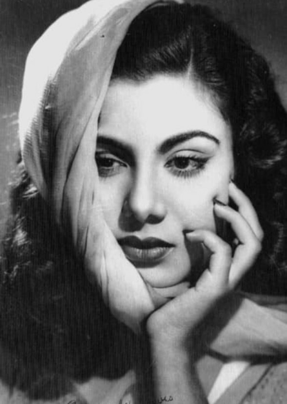 Echoes of Elegance: The Bina Rai Saga